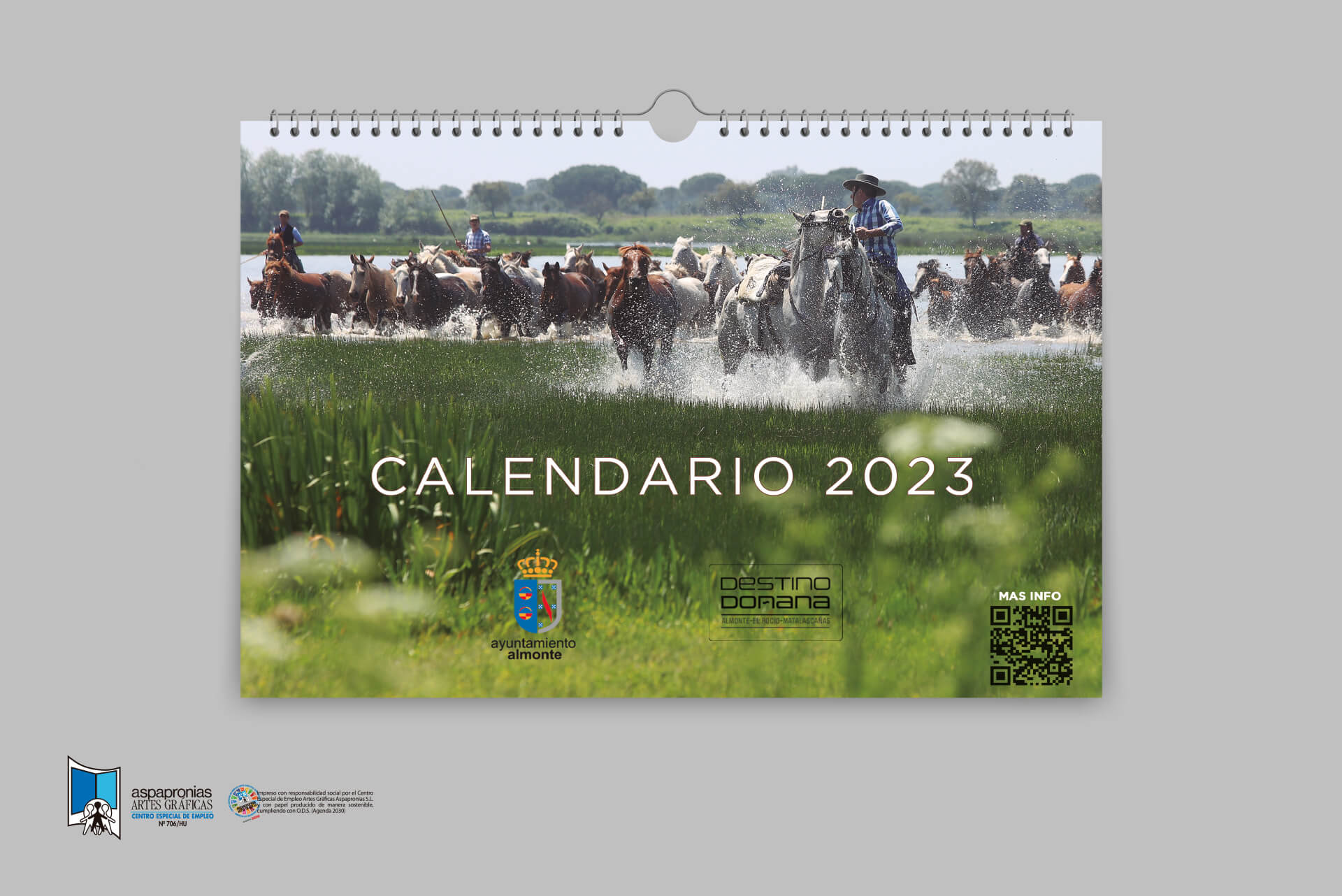 Calendario Almonte
